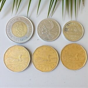 Canada Coin Lot (6) Vintage Canadian Dollars + Quarter + Nickel | 1987–2003